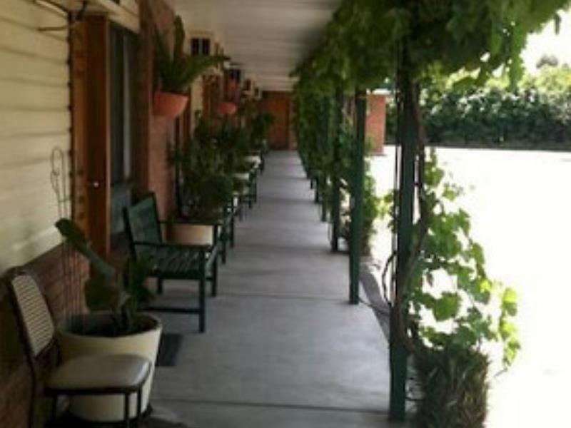 The Wayfarer Motel Muswellbrook Exteriör bild